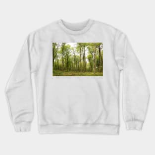 Green Leaved Trees in a Forest Crewneck Sweatshirt